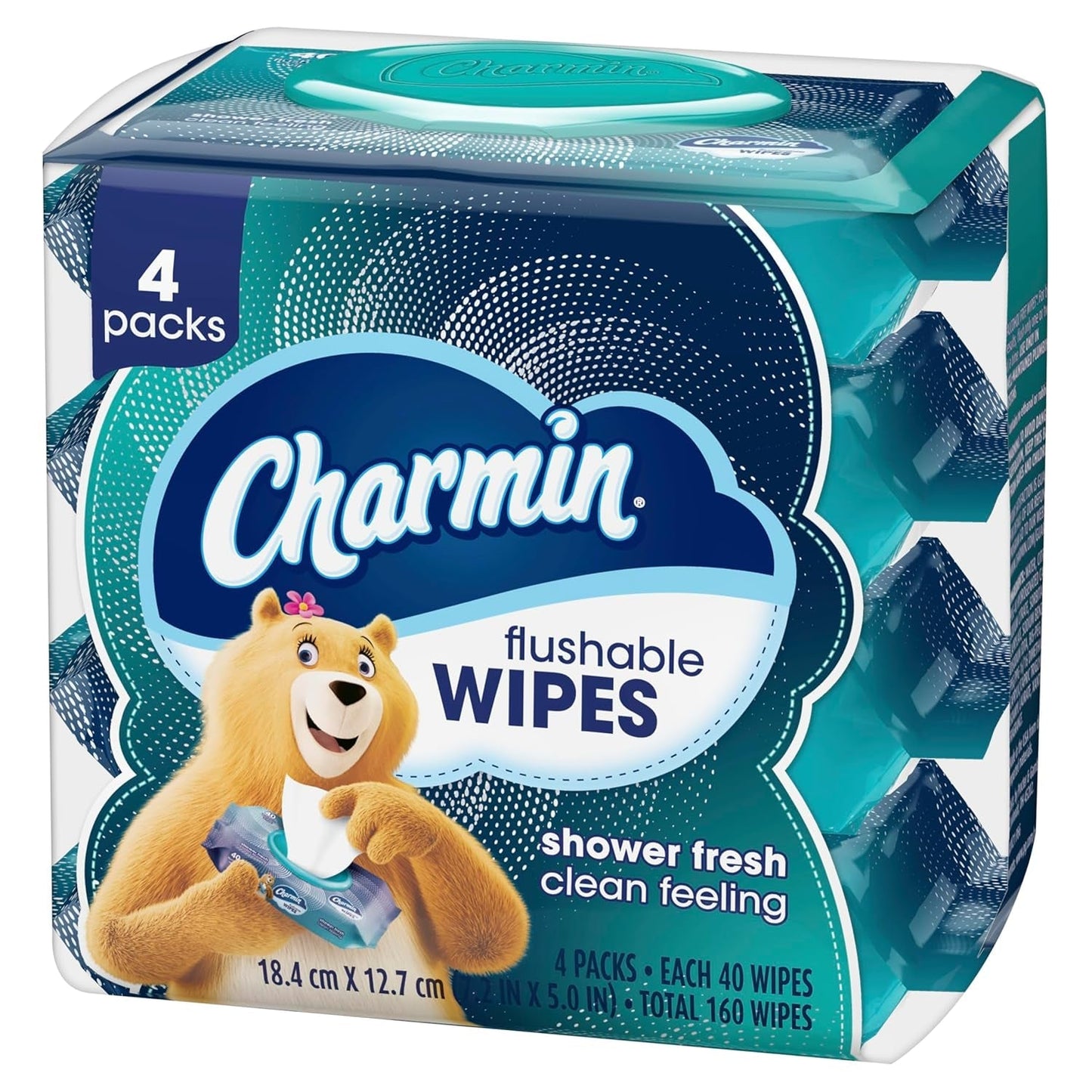 Flushable Wipes, 160 Total Wipes (4 Packs of 40)