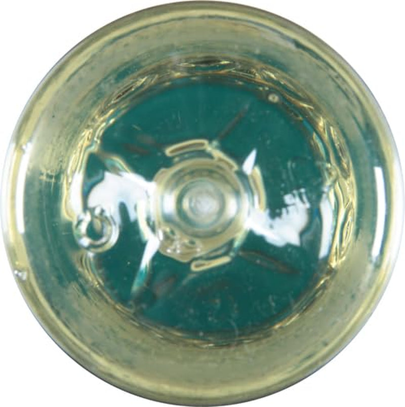 Pure Vegetable Oil, 16 Fluid Ounce