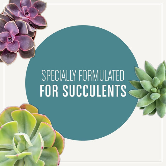 Succulent Potting Mix, for Indoor Succulents, Aloe Vera and More, Made with Plant Food, 4 Qt