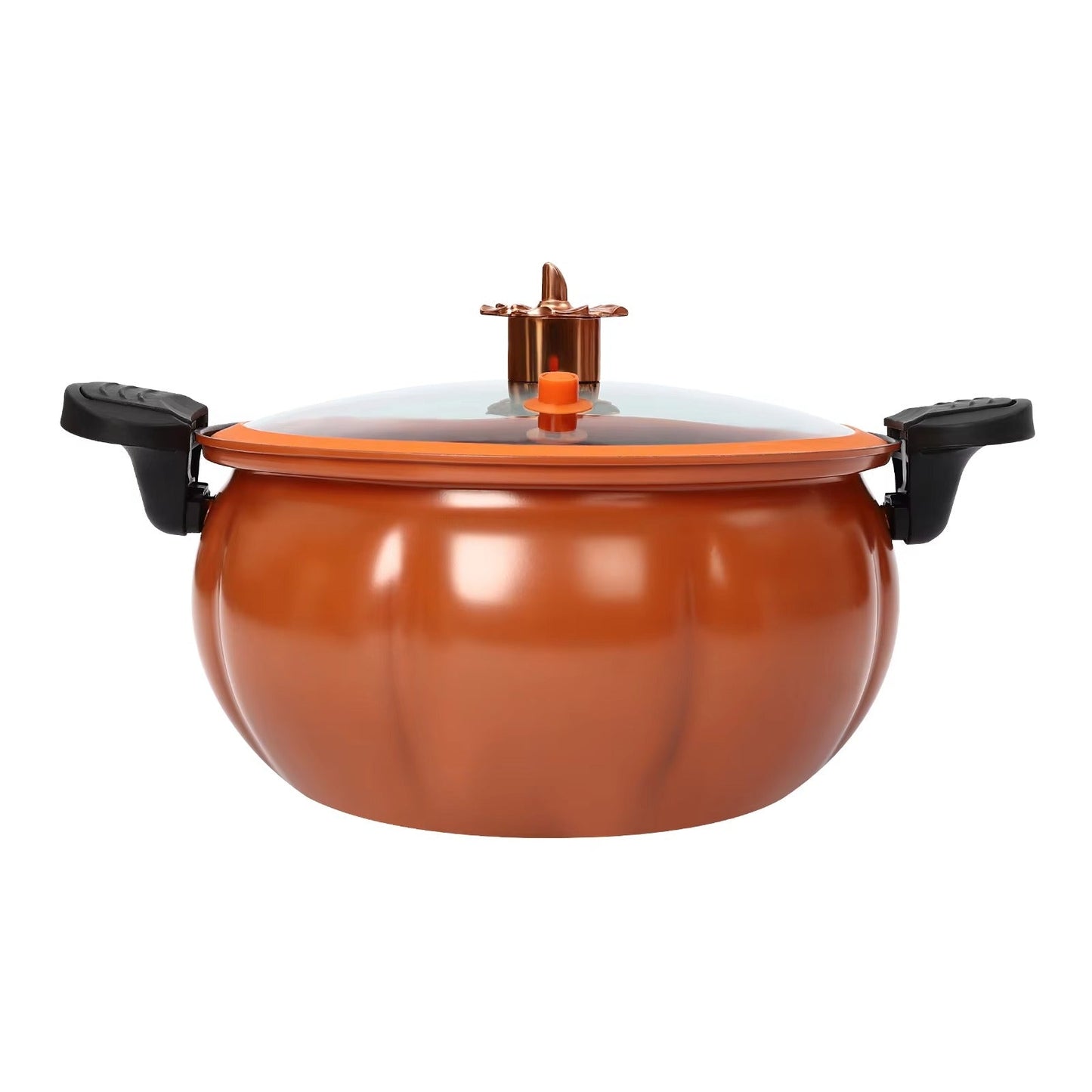 Micro Pressure Cooking Pot