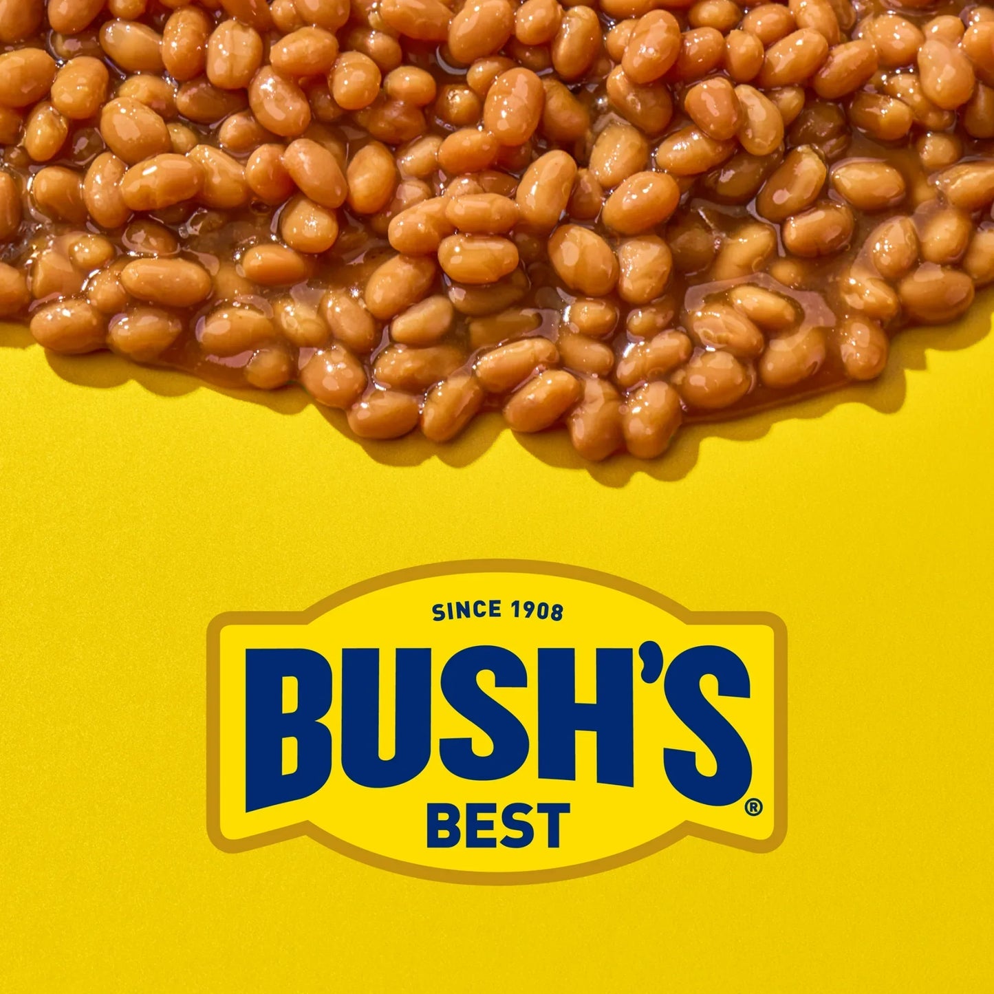 Bush's Original Baked Beans, Canned Beans, 28 oz Can