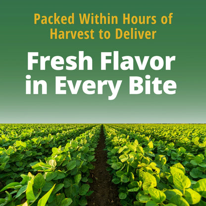 Del Monte Blue Lake Cut Green Beans, Soft, Canned Vegetables, 28 oz Aluminum Can