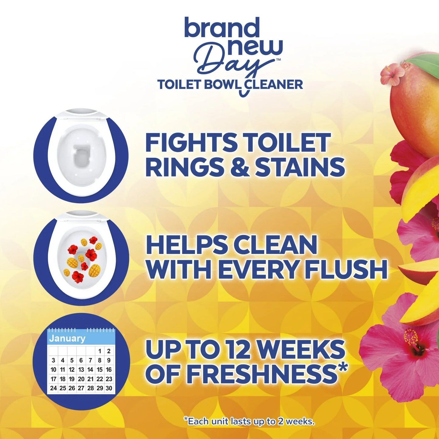 Lysol® Brand New Day Automatic Toilet Bowl Click Gel Cleaner, Mango & Hibiscus, 6 Count