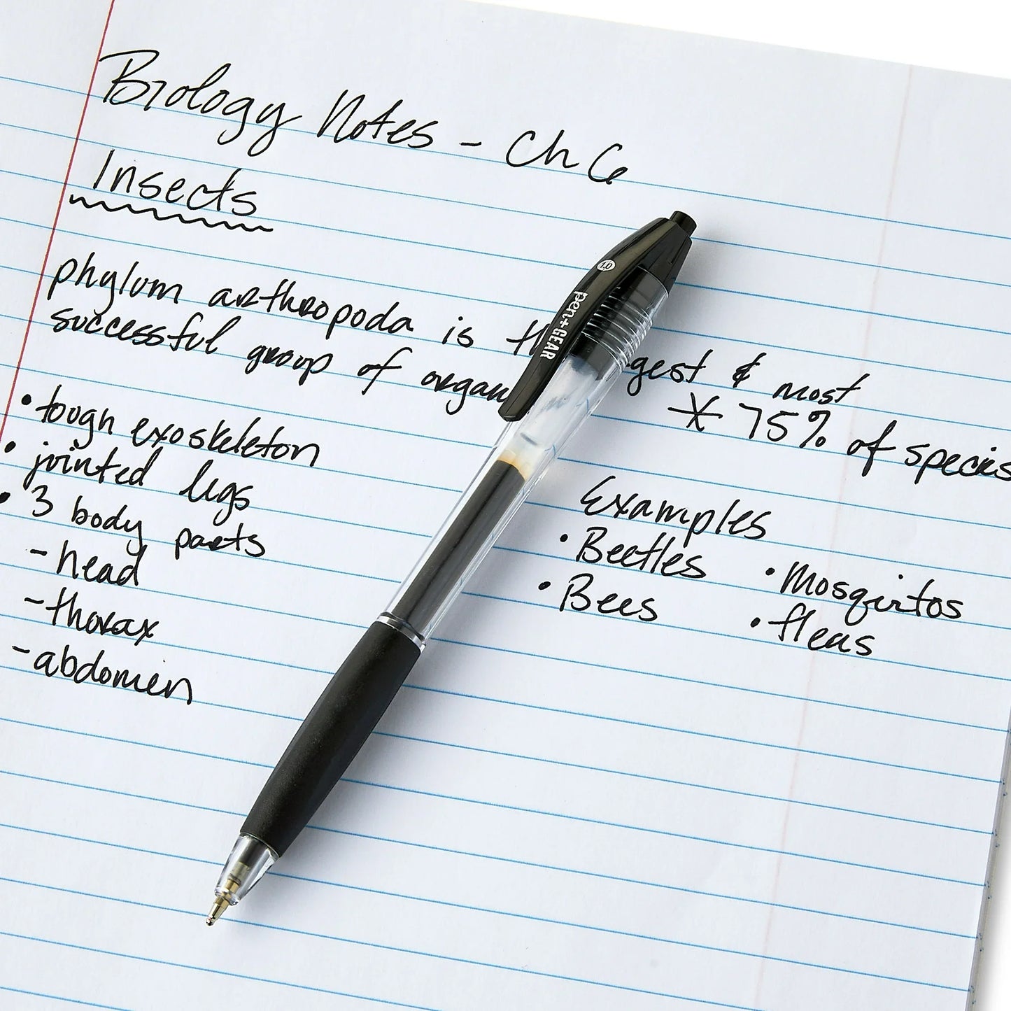 Pen+Gear Retractable Ballpoint Pens, Medium Point,1.0mm, Black Ink, 8 Count