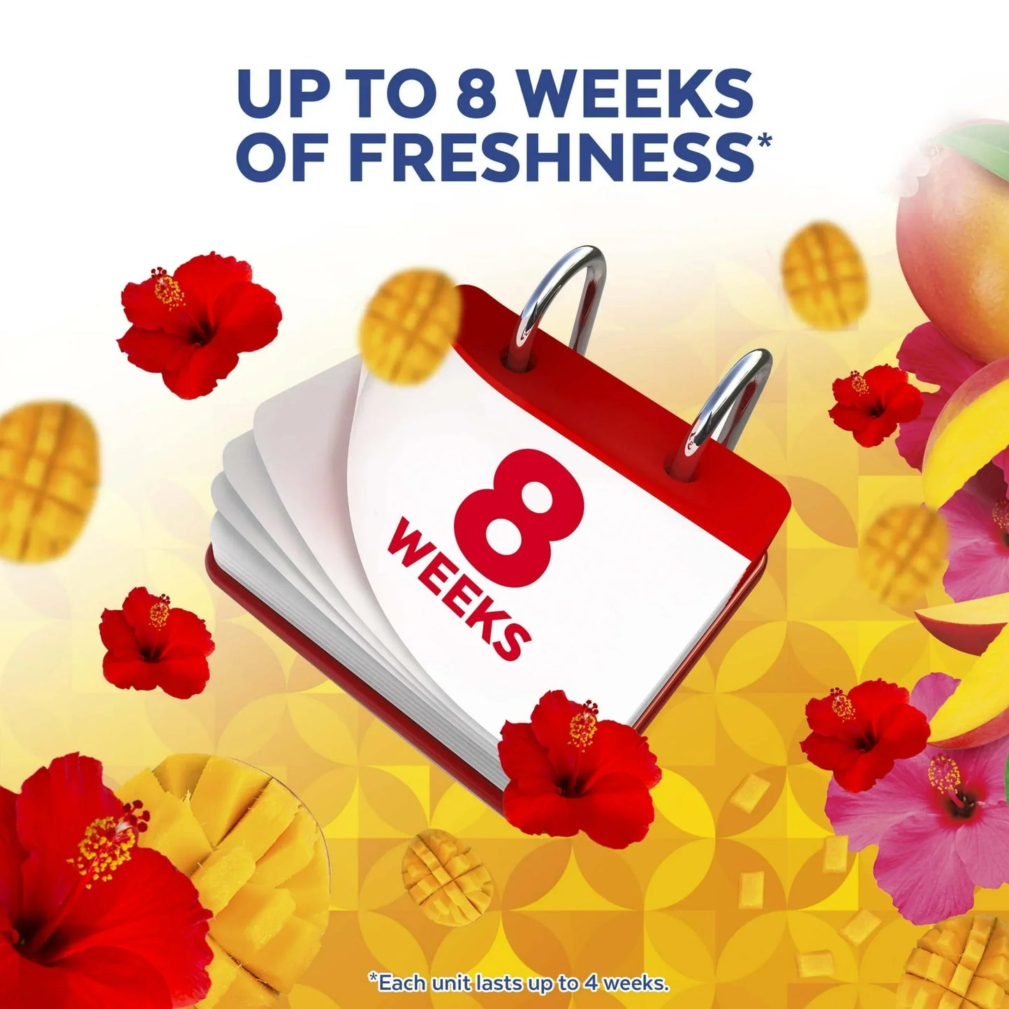 Lysol® Automatic Toilet Bowl Cleaner, Brand New Day, Mango & Hibiscus, 2 count