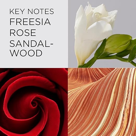 Elizabeth Arden Red Door Women's Perfume, Fragrance, Floral Parfum