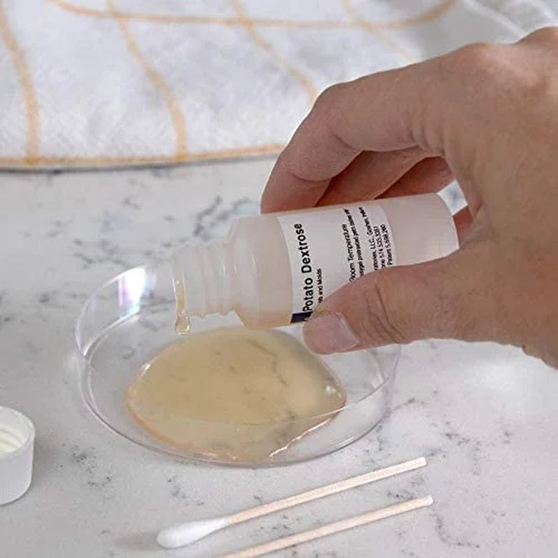 Safe Home Premium Mold Detection Test Kit for Surface and Material Testing