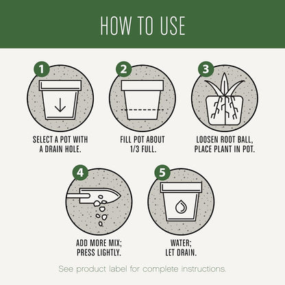 Succulent Potting Mix, for Indoor Succulents, Aloe Vera and More, Made with  Plant Food, 4 Qt