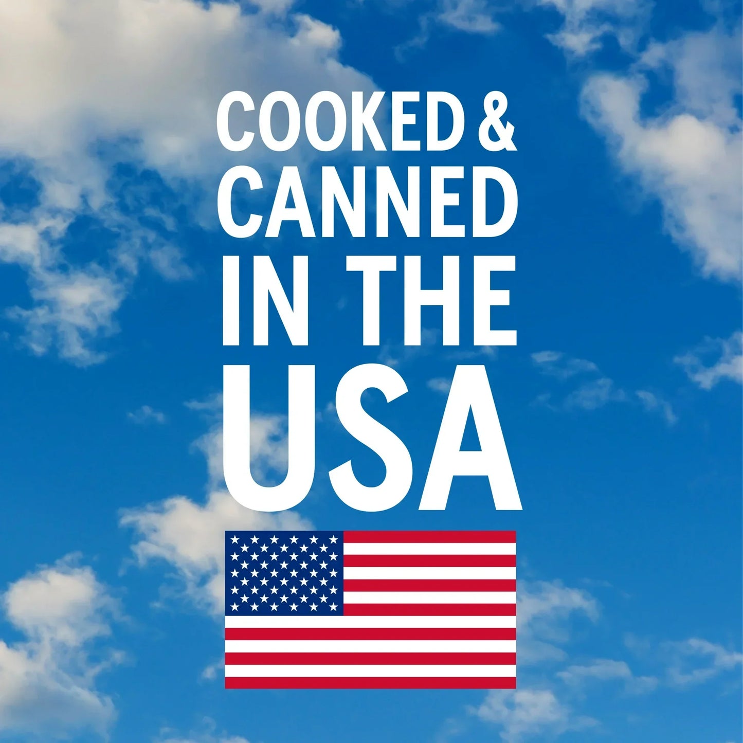 Bush's Black Beans, Canned Beans, 15 oz