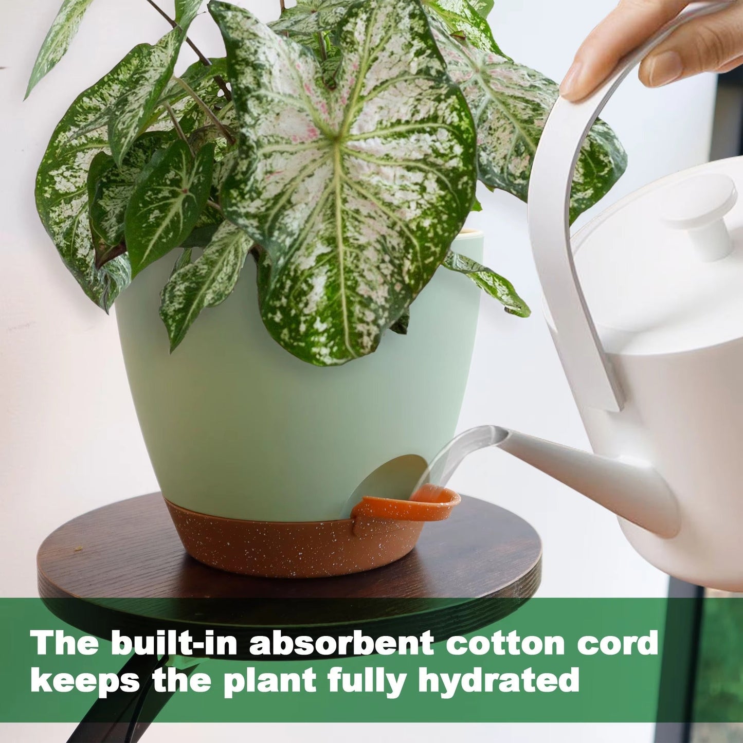 5pcs Self Watering Planters, Plant Pots