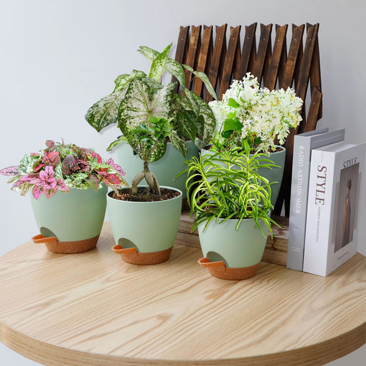 5pcs Self Watering Planters, Plant Pots