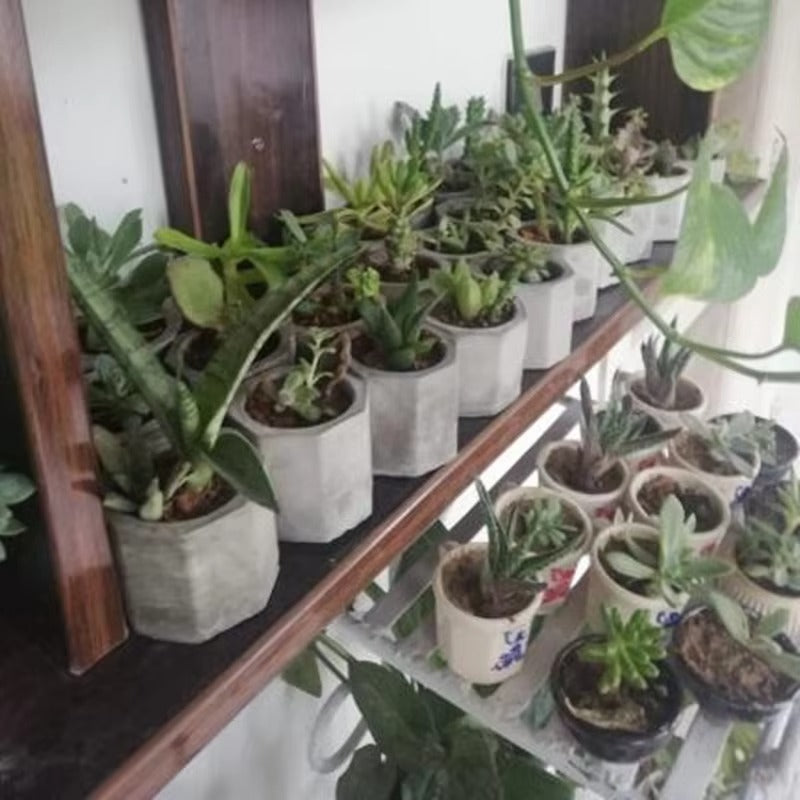 3 Holes Round Geometric Polygonal Concrete Silicone Flowerpot Mold Cactus Cement Pot DIY Clay Craft Bottle Mould Decoration