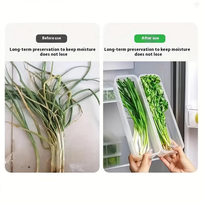 2/4pcs Long Rectangular Food Storage Containers, Plastic Reusable Refrigerator Organizer Boxes for Herbs, Vegetables