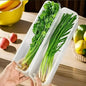 2/4pcs Long Rectangular Food Storage Containers, Plastic Reusable Refrigerator Organizer Boxes for Herbs, Vegetables