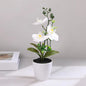 Butterfly Orchid Bonsai Potted Fake Plants for Home Garden Room Decoration Office Table Artificial Silk Flower Ornaments