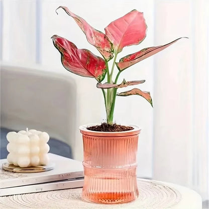 Lazy Hydroponic Flower Pot Automatic Water-Absorbing Flowerpot