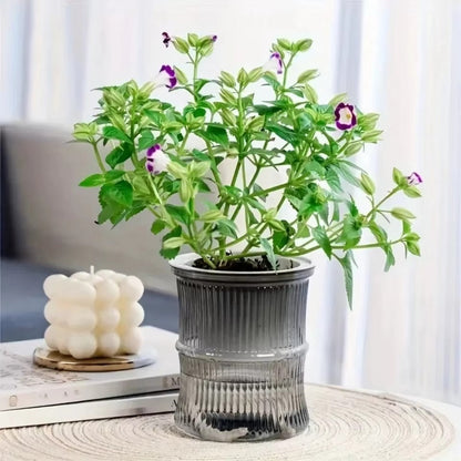 Lazy Hydroponic Flower Pot Automatic Water-Absorbing Flowerpot